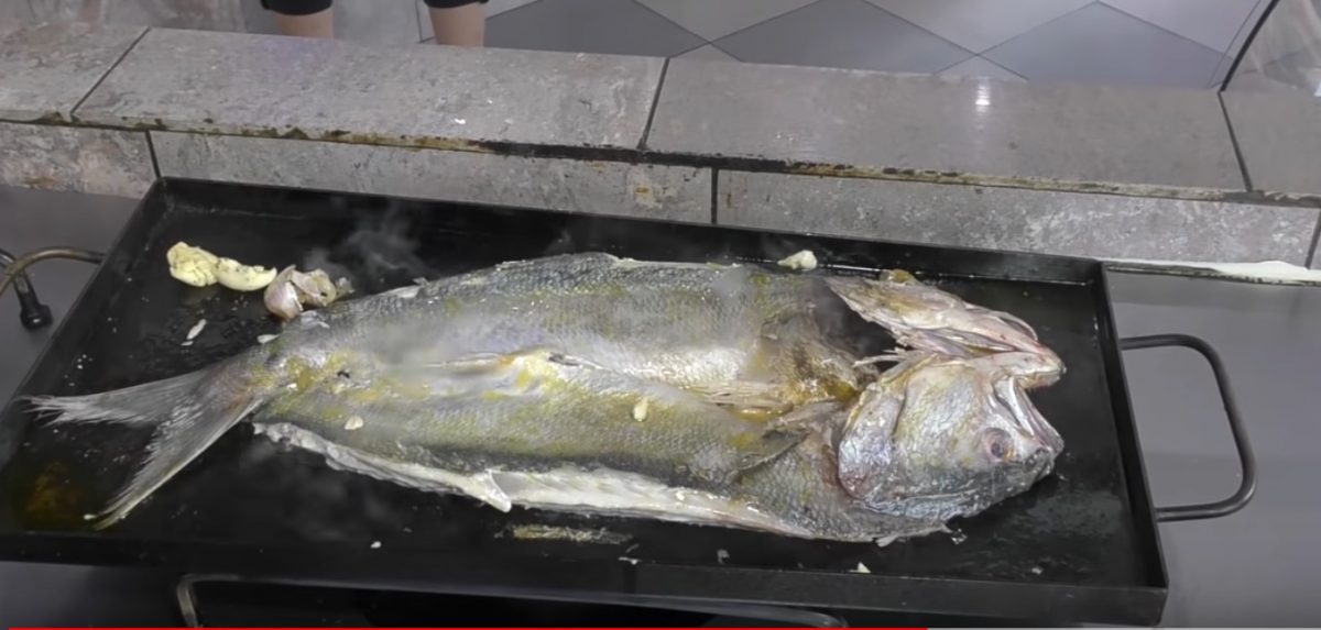 receta de anchoa de banco anjova anchova a la plancha plancheta con ajo y limon