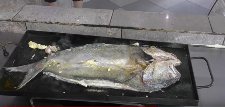 receta de anchoa de banco anjova anchova a la plancha plancheta con ajo y limon